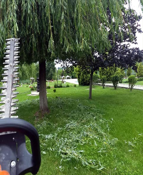 Communal Garden