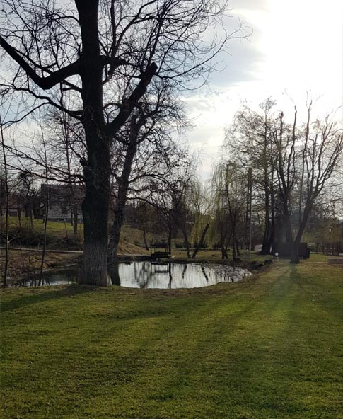 Communal Garden
